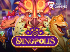 Casino slots software18